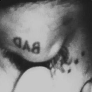 Meet your Posher, Flu